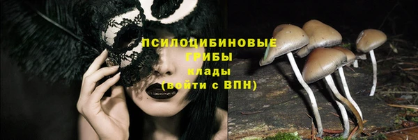 экстази Белокуриха
