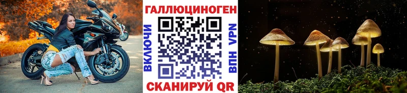 Галлюциногенные грибы GOLDEN TEACHER Сибай