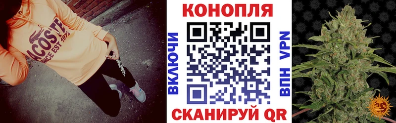 Бошки Шишки сатива  где купить наркоту  Сибай 
